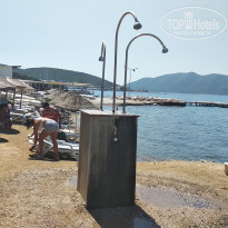 фото из отзыва ID 2021831