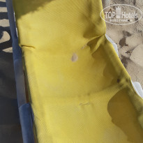 фото из отзыва ID 2021909