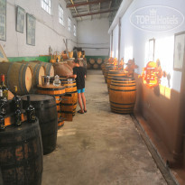 фото из отзыва ID 2020556