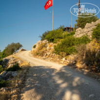 фото из отзыва ID 2022022