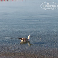 фото из отзыва ID 2022400