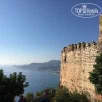 фото из отзыва ID 2022370