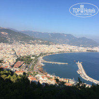 фото из отзыва ID 2022370