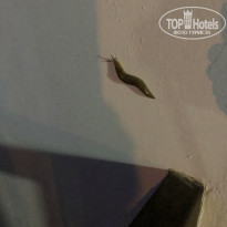 фото из отзыва ID 2022537