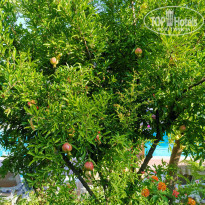 фото из отзыва ID 2022598