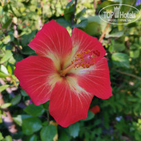 фото из отзыва ID 2022598