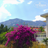 фото из отзыва ID 2022570