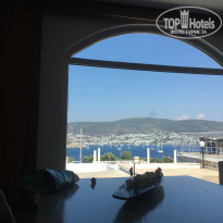 фото из отзыва ID 2022624