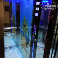 фото из отзыва ID 2022615