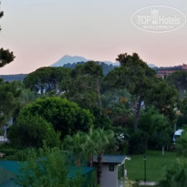 фото из отзыва ID 2022683