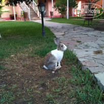 фото из отзыва ID 2022938