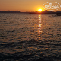 фото из отзыва ID 2023080