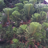 фото из отзыва ID 2023080