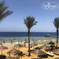 фото из отзыва ID 2023111