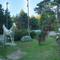 фото из отзыва ID 2023194