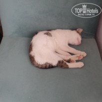 фото из отзыва ID 2023127