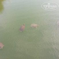 фото из отзыва ID 2023141