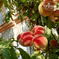 фото из отзыва ID 2023141