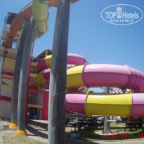 фото из отзыва ID 2023127