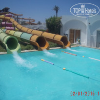 фото из отзыва ID 2023127