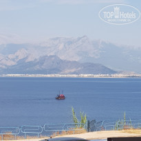 фото из отзыва ID 2023061