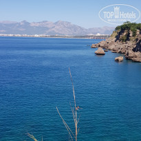 фото из отзыва ID 2023061