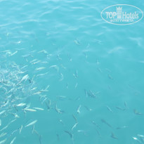 фото из отзыва ID 2023303