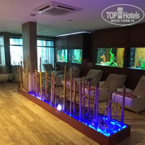 фото из отзыва ID 2023303