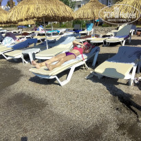 фото из отзыва ID 2023387