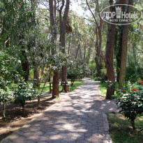 фото из отзыва ID 2023356