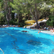 фото из отзыва ID 2023356