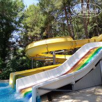 фото из отзыва ID 2023356