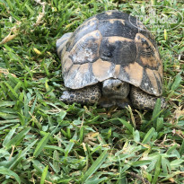 фото из отзыва ID 2023471