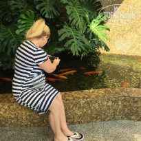 фото из отзыва ID 2023491