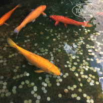 фото из отзыва ID 2023491