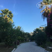 фото из отзыва ID 2023589