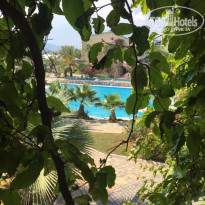 фото из отзыва ID 2023589