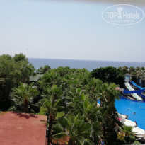 фото из отзыва ID 2023611