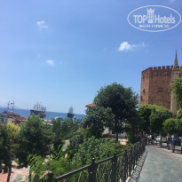 фото из отзыва ID 2023653