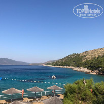 фото из отзыва ID 2023659