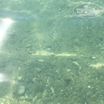 фото из отзыва ID 2023686