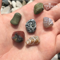 фото из отзыва ID 2023686