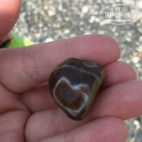 фото из отзыва ID 2023686