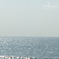 фото из отзыва ID 2023686