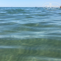 фото из отзыва ID 2023686