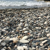 фото из отзыва ID 2023686