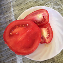 фото из отзыва ID 2023792