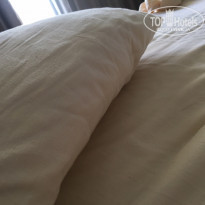 фото из отзыва ID 2023792