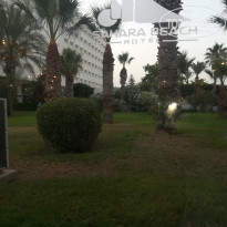 фото из отзыва ID 2023794