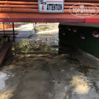 фото из отзыва ID 2023554